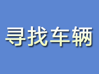 乃东寻找车辆